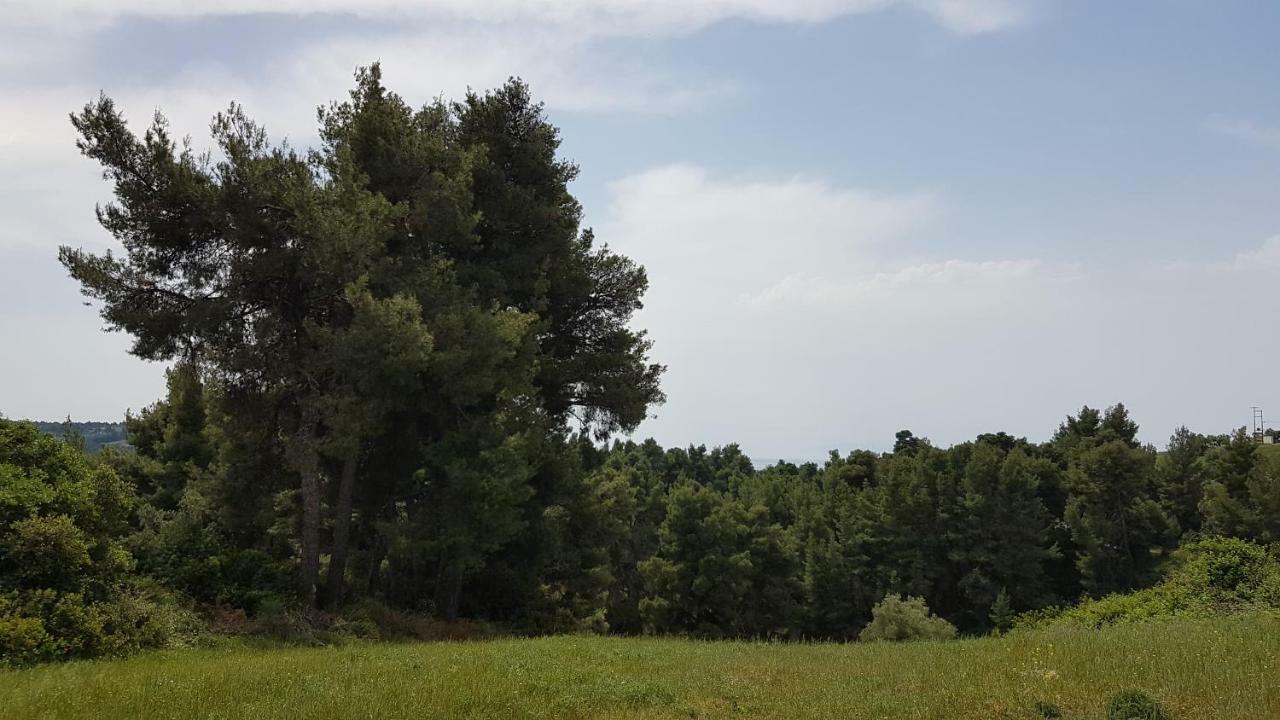 Villa Sugarella Szíviri Kültér fotó